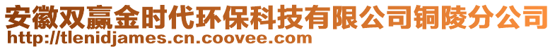 安徽雙贏金時(shí)代環(huán)保科技有限公司銅陵分公司