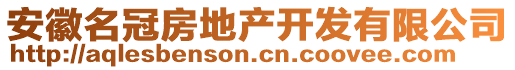 安徽名冠房地產(chǎn)開發(fā)有限公司