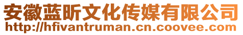 安徽藍(lán)昕文化傳媒有限公司