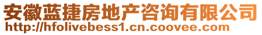 安徽藍捷房地產咨詢有限公司