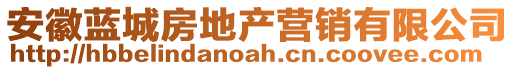 安徽藍城房地產營銷有限公司