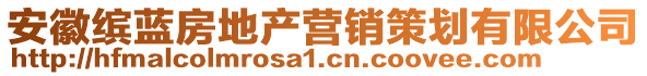 安徽繽藍(lán)房地產(chǎn)營銷策劃有限公司