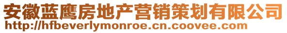 安徽藍(lán)鷹房地產(chǎn)營銷策劃有限公司