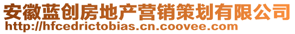 安徽藍(lán)創(chuàng)房地產(chǎn)營(yíng)銷策劃有限公司