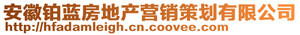 安徽鉑藍房地產(chǎn)營銷策劃有限公司