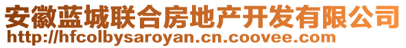 安徽藍(lán)城聯(lián)合房地產(chǎn)開發(fā)有限公司