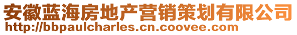 安徽藍(lán)海房地產(chǎn)營(yíng)銷策劃有限公司