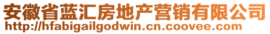 安徽省藍(lán)匯房地產(chǎn)營銷有限公司