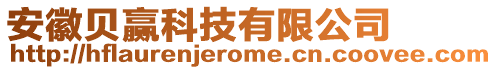 安徽貝贏科技有限公司