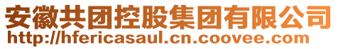 安徽共團控股集團有限公司