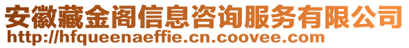 安徽藏金閣信息咨詢服務(wù)有限公司