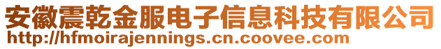 安徽震乾金服電子信息科技有限公司