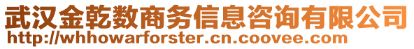 武漢金乾數(shù)商務信息咨詢有限公司