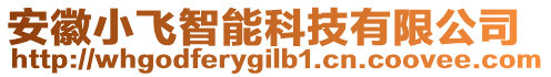 安徽小飛智能科技有限公司