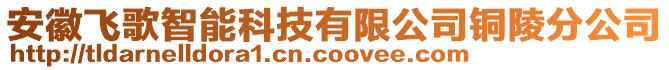 安徽飛歌智能科技有限公司銅陵分公司