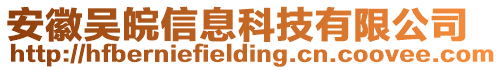安徽吳皖信息科技有限公司