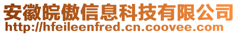 安徽皖傲信息科技有限公司