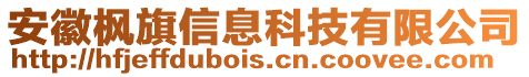 安徽楓旗信息科技有限公司