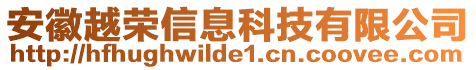 安徽越榮信息科技有限公司