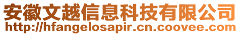 安徽文越信息科技有限公司