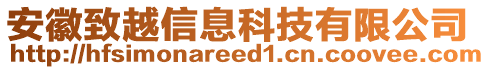 安徽致越信息科技有限公司