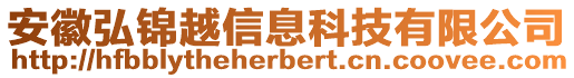 安徽弘錦越信息科技有限公司