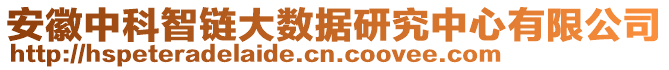 安徽中科智鏈大數據研究中心有限公司