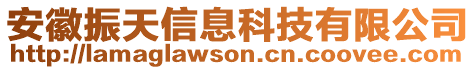 安徽振天信息科技有限公司