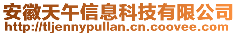 安徽天午信息科技有限公司