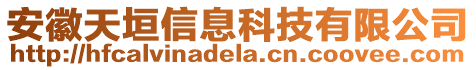 安徽天垣信息科技有限公司