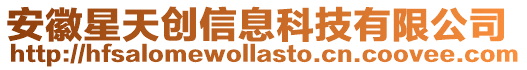 安徽星天創信息科技有限公司