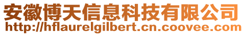 安徽博天信息科技有限公司