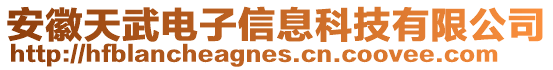 安徽天武電子信息科技有限公司