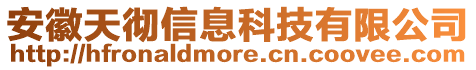 安徽天徹信息科技有限公司