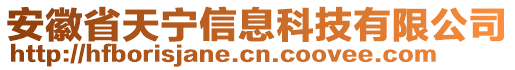 安徽省天寧信息科技有限公司