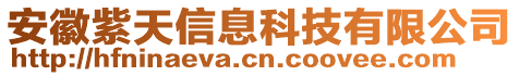 安徽紫天信息科技有限公司