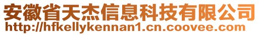 安徽省天杰信息科技有限公司