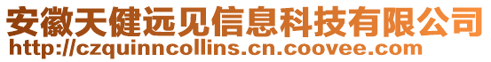 安徽天健遠見信息科技有限公司