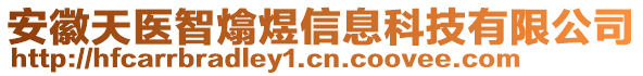 安徽天醫(yī)智熻煜信息科技有限公司