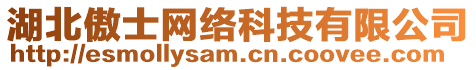 湖北傲士網(wǎng)絡(luò)科技有限公司