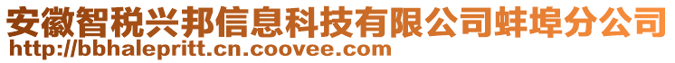 安徽智稅興邦信息科技有限公司蚌埠分公司