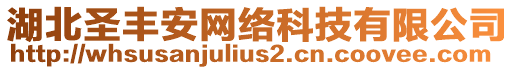 湖北圣豐安網(wǎng)絡(luò)科技有限公司