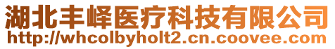 湖北豐嶧醫(yī)療科技有限公司