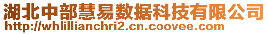 湖北中部慧易數(shù)據(jù)科技有限公司