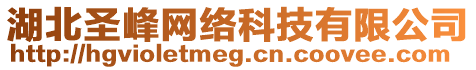 湖北圣峰網(wǎng)絡(luò)科技有限公司