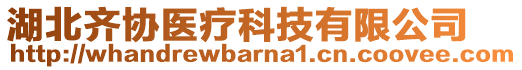 湖北齊協(xié)醫(yī)療科技有限公司