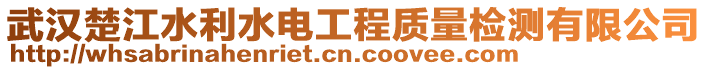 武漢楚江水利水電工程質量檢測有限公司