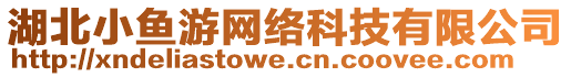 湖北小魚(yú)游網(wǎng)絡(luò)科技有限公司