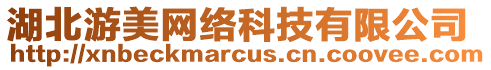 湖北游美網(wǎng)絡(luò)科技有限公司