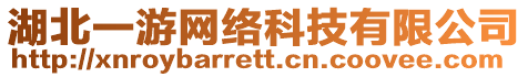 湖北一游網絡科技有限公司